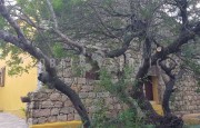 Antico stazzo in vendita San Pantaleo_17