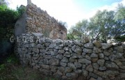 Antico stazzo in vendita San Pantaleo_37