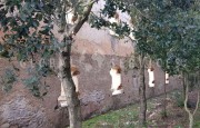 Arzachena Monte Moro. Rustic farmhouse for sale_5