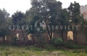 Arzachena Monte Moro. Rustic farmhouse for sale_7