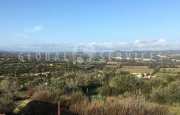 San Pantaleo tenuta agricola_7