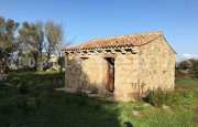 San Pantaleo tenuta agricola_2