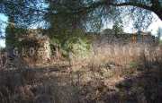 San Pantaleo tenuta agricola_11