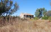 San Pantaleo tenuta agricola_12