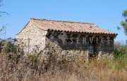 San Pantaleo tenuta agricola_13