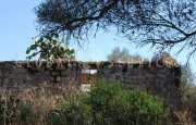 San Pantaleo tenuta agricola_15