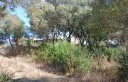 San Pantaleo tenuta agricola_17