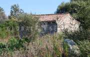San Pantaleo tenuta agricola_18