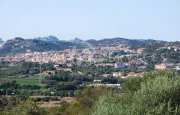 San Pantaleo tenuta agricola_21