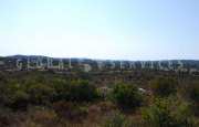 San Pantaleo tenuta agricola_23