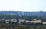 San Pantaleo tenuta agricola_24