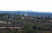 San Pantaleo tenuta agricola_25
