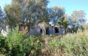 San Pantaleo tenuta agricola_31