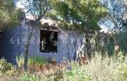 San Pantaleo tenuta agricola_32