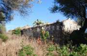 San Pantaleo tenuta agricola_34