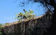 San Pantaleo tenuta agricola_36