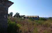 San Pantaleo tenuta agricola_39