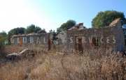 San Pantaleo tenuta agricola_42
