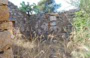 San Pantaleo tenuta agricola_46