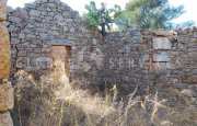 San Pantaleo tenuta agricola_47