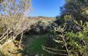 San Pantaleo Villetta con dependance_41