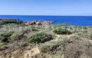 Costa Paradiso villa_32