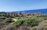 Costa Paradiso villa_33