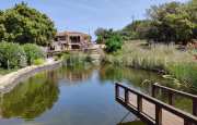 San Pantaleo villa con laghetto_32