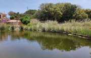 San Pantaleo villa con laghetto_33