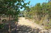 Sorso casetta in campagna_4
