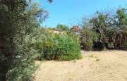 Sorso casetta in campagna_8