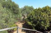 Sorso casetta in campagna_15