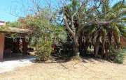 Sorso casetta in campagna_32