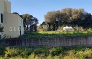 Arzachena estate with rural house_26