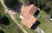 Arzachena estate with rural house_2