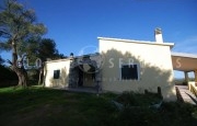 Arzachena estate with rural house_37