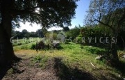 Arzachena estate with rural house_41